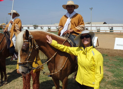 Peruvian Step Horse Show.